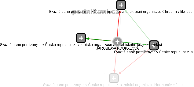 JAROSLAVA KOUKALOVÁ - Vizualizace  propojení osoby a firem v obchodním rejstříku