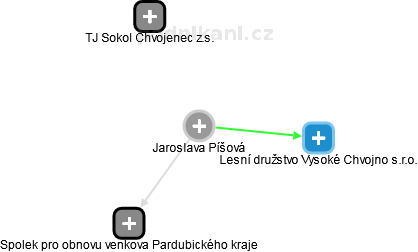  Jaroslava P. - Vizualizace  propojení osoby a firem v obchodním rejstříku