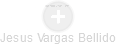 Jesus Vargas Bellido - Vizualizace  propojení osoby a firem v obchodním rejstříku