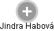 Jindra Habová - Vizualizace  propojení osoby a firem v obchodním rejstříku