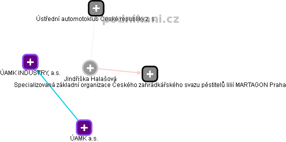 Jindřiška Halašová - Vizualizace  propojení osoby a firem v obchodním rejstříku