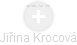 Jiřina Krocová - Vizualizace  propojení osoby a firem v obchodním rejstříku