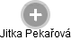 Jitka Pekařová - Vizualizace  propojení osoby a firem v obchodním rejstříku