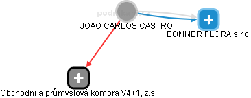 JOAO CARLOS CASTRO - Vizualizace  propojení osoby a firem v obchodním rejstříku