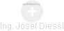 JOSEF DIESSL - Vizualizace  propojení osoby a firem v obchodním rejstříku