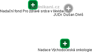 Dušan Diviš - Vizualizace  propojení osoby a firem v obchodním rejstříku