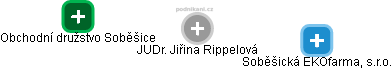  Jiřina R. - Vizualizace  propojení osoby a firem v obchodním rejstříku