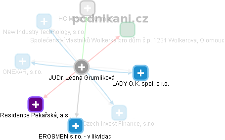 Leona Grumlíková - Vizualizace  propojení osoby a firem v obchodním rejstříku