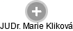 Marie Kliková - Vizualizace  propojení osoby a firem v obchodním rejstříku