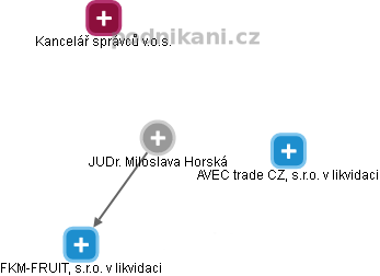 Miloslava Horská - Vizualizace  propojení osoby a firem v obchodním rejstříku