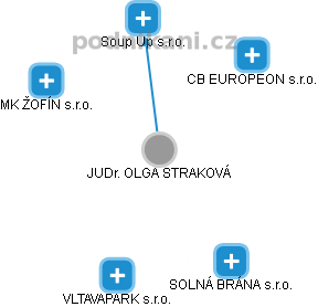 OLGA STRAKOVÁ - Vizualizace  propojení osoby a firem v obchodním rejstříku