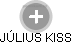 JÚLIUS KISS - Vizualizace  propojení osoby a firem v obchodním rejstříku