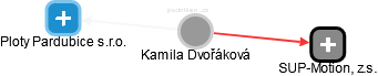  Kamila D. - Vizualizace  propojení osoby a firem v obchodním rejstříku