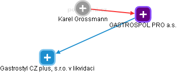 Karel Grossmann - Vizualizace  propojení osoby a firem v obchodním rejstříku