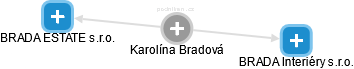 Karolína Bradová - Vizualizace  propojení osoby a firem v obchodním rejstříku