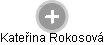 Kateřina Rokosová - Vizualizace  propojení osoby a firem v obchodním rejstříku
