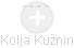  Kolja K. - Vizualizace  propojení osoby a firem v obchodním rejstříku