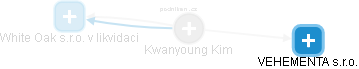  Kwanyoung K. - Vizualizace  propojení osoby a firem v obchodním rejstříku