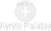 Kyrylo Palatay - Vizualizace  propojení osoby a firem v obchodním rejstříku