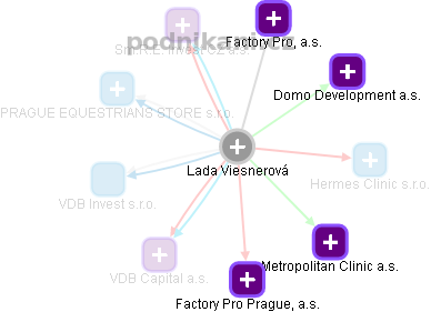 Lada Viesnerová - Vizualizace  propojení osoby a firem v obchodním rejstříku