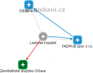 Ladislav Kozubík - Vizualizace  propojení osoby a firem v obchodním rejstříku