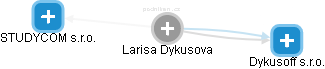 Larisa Dykusova - Vizualizace  propojení osoby a firem v obchodním rejstříku