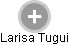 Larisa Tugui - Vizualizace  propojení osoby a firem v obchodním rejstříku