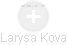 Larysa Kova - Vizualizace  propojení osoby a firem v obchodním rejstříku