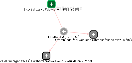 LENKA GROSMANOVÁ - Vizualizace  propojení osoby a firem v obchodním rejstříku