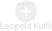 Leopold Kulík - Vizualizace  propojení osoby a firem v obchodním rejstříku