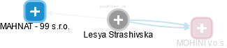 Lesya Strashivska - Vizualizace  propojení osoby a firem v obchodním rejstříku
