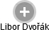Libor Dvořák - Vizualizace  propojení osoby a firem v obchodním rejstříku