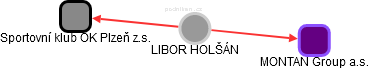 LIBOR HOLŠÁN - Vizualizace  propojení osoby a firem v obchodním rejstříku