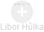 Libor Hůlka - Vizualizace  propojení osoby a firem v obchodním rejstříku