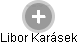 Libor Karásek - Vizualizace  propojení osoby a firem v obchodním rejstříku