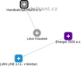 Libor Kozubek - Vizualizace  propojení osoby a firem v obchodním rejstříku