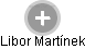 Libor Martínek - Vizualizace  propojení osoby a firem v obchodním rejstříku