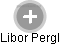 Libor Pergl - Vizualizace  propojení osoby a firem v obchodním rejstříku