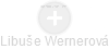 Libuše Wernerová - Vizualizace  propojení osoby a firem v obchodním rejstříku