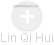 Lin Qi Hui - Vizualizace  propojení osoby a firem v obchodním rejstříku