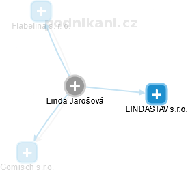  Linda S. - Vizualizace  propojení osoby a firem v obchodním rejstříku