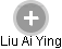 Liu Ai Ying - Vizualizace  propojení osoby a firem v obchodním rejstříku