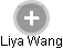 Liya Wang - Vizualizace  propojení osoby a firem v obchodním rejstříku