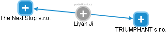 Liyan Ji - Vizualizace  propojení osoby a firem v obchodním rejstříku