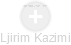 Ljirim Kazimi - Vizualizace  propojení osoby a firem v obchodním rejstříku