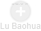 Lu Baohua - Vizualizace  propojení osoby a firem v obchodním rejstříku