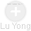 Lu Yong - Vizualizace  propojení osoby a firem v obchodním rejstříku