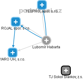 Lubomír Habarta - Vizualizace  propojení osoby a firem v obchodním rejstříku