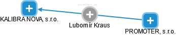 Lubomír Kraus - Vizualizace  propojení osoby a firem v obchodním rejstříku