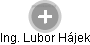  Lubor H. - Vizualizace  propojení osoby a firem v obchodním rejstříku
